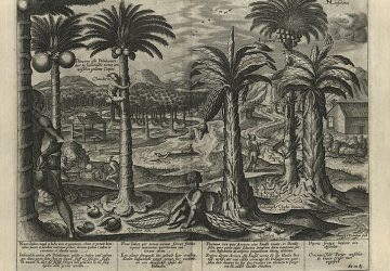 Reisebeschreibung des niederländischen Seereisenden Jan Huygen van Linschoten lateinische Fassung, 1599 © DHM