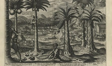 Reisebeschreibung des niederländischen Seereisenden Jan Huygen van Linschoten lateinische Fassung, 1599 © DHM