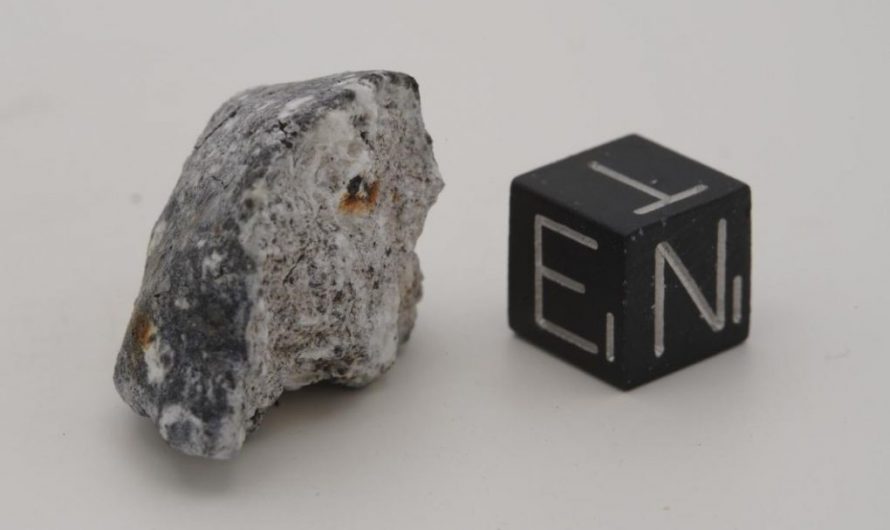 Spektakulärer Meteorit wird ausgestellt