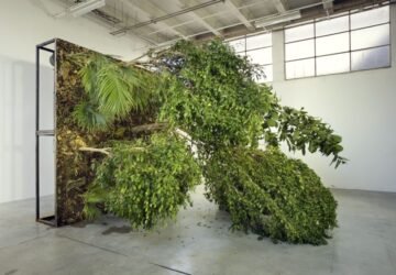 Henrik Håkansson, Fallen Forest, 2006, Installationsansicht "A travers bois pour trouver la forêt", Le Palais de Tokyo, Paris, 2006 © Henrik Håkansson, Le Palais de Tokyo, Paris